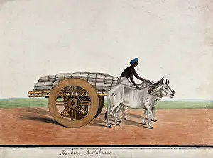 Sack Prints: A man driving a bullock cart laden with sacks, (between 1800 and 1899?). Creator: Unknown