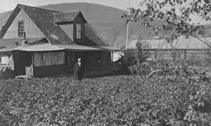 Yard Prints: Man in frontyard of house, between c1900 and 1916. Creator: Unknown