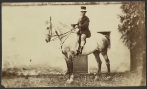 Reins Prints: Man on a Horse, late 19th century. Creator: Unknown