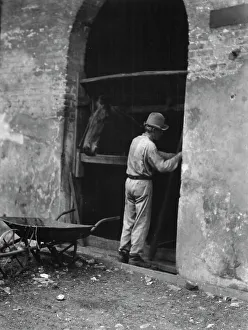 Stall Prints: Man and horse in stall, New Orleans or Charleston