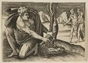 Marco Dente Da Ravenna Gallery: A man kneeling next to a basket of fish and taking one with both hands, two men at