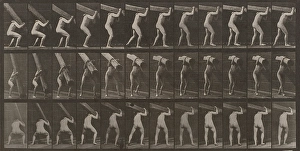 Lifting Prints: Man Lifting Beam: Plate 383, 1887. Creator: Eadweard J Muybridge