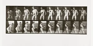 Fitness Prints: Man lifting a dumbbell, Plate 324 from Animal Locomotion, 1887 (photograph)
