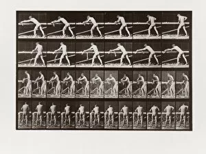 Carpentry Gallery: Man planing wood, Plate 379 from Animal Locomotion, 1887 (photograph)