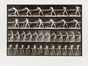 Carpentry Gallery: Man planing wood, Plate 379 from Animal Locomotion, 1887 (photograph)