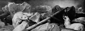 Images Dated 21st May 2018: Man Proposes, God Disposes, 1864, (1912). Artist: Edwin Henry Landseer