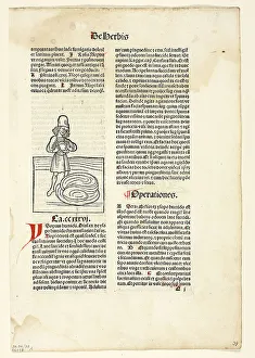 Letterpress Prints: Man purging fluid from lungs (recto) and Plant for abdominal pain (verso)