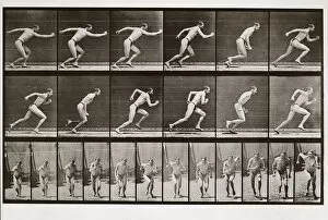 Man running, Plate 59 from Animal Locomotion, 1887 (photograph)