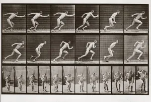 Man running, Plate 59 from Animal Locomotion, 1887 (photograph) Man running, Plate 59 from Animal Locomotion, 1887 (photograph)