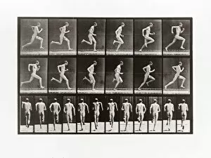 Man running, Plate 62 from Animal Locomotion, 1887 (photograph)