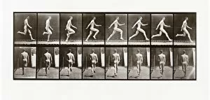 Man running, Plate 65 from Animal Locomotion, 1887 (photograph)