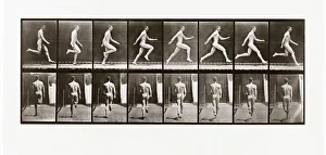 Man running, Plate 65 from Animal Locomotion, 1887 (photograph) Man running, Plate 65 from Animal Locomotion, 1887 (photograph)
