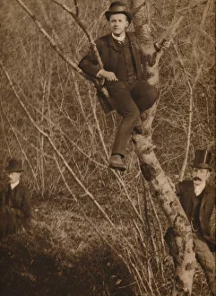 Verve Prints: Man sat in a tree, 1937. Artist: Louis Guichard