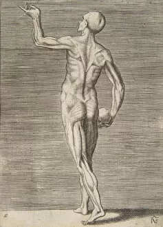 Man seen from the Back, holding a Skull in his right Hand, 16th century