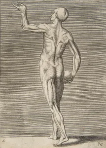 Man seen from the Back, holding a Skull in his right Hand, 16th century Man seen from the Back, holding a Skull in his right Hand, 16th century