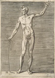 Man seen from the Front, holding a Rope in his right Hand, 16th century Man seen from the Front, holding a Rope in his right Hand, 16th century