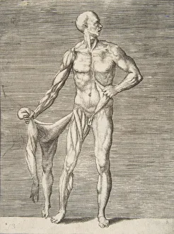 Flayed Gallery: Man seen from the Front, holding the Skin of his right Arm and Leg in his right Ha