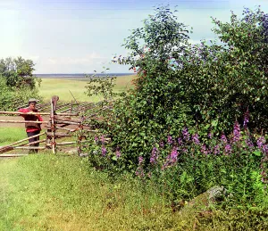 Bushes Prints: Man standing near fence and bushes, 1909. Creator: Sergey Mikhaylovich Prokudin-Gorsky