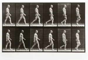 Man walking, Plate 6 from Animal Locomotion, 1887 (photograph) Man walking, Plate 6 from Animal Locomotion, 1887 (photograph)