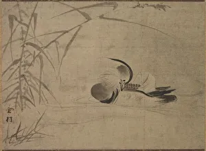 Mandarin Duck, 1500s. Creator: Sesson Sh?kei (Japanese, 1504-1589)
