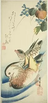 Waterfowl Collection: Mandarin ducks, 1830s. Creator: Ando Hiroshige