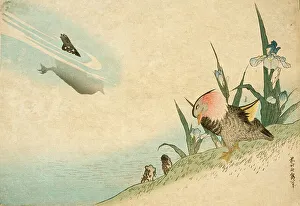 Saki No Prints: Mandarin Ducks, 19th century. Creator: Hokusai