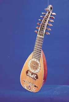 Images Dated 8th July 2013: Mandolin of 17th century, transition between lute and mandolin