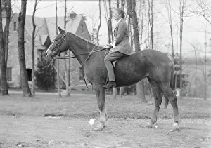 Manners, Alice G. Mrs. on horseback, between 1936 and 1942. Creator: Arnold Genthe