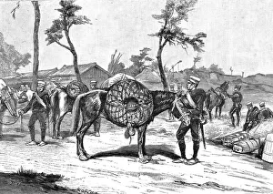 Pack Horse Prints: The Manoeuvres of the Japanese Army before His Majesty the Mikado; The Commissariat Depart