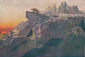Wildlife Gallery: Beyond Mans Footsteps, 1894 (1909). Artist: Briton Riviere