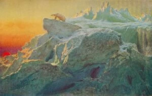 Bear Collection: Beyond Mans Footsteps, c1894, (1928). Artist: Briton Riviere