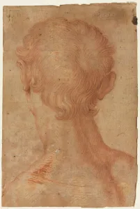 Copy After Prints: Mans Head from the Back, 16th century?. Creator: Unknown