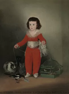 Pets Gallery: Manuel Osorio Manrique de Zuniga (1784-1792), 1787-88. Creator: Francisco Goya