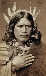 Sincerity Prints: A Maori man with a tattoed face, c1870s. Creator: James Bragge