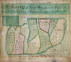 Bexley Collection: Map of Abbey Wood, part of Erith or Lesnes Manor on the eastern boundary of Woolwich, Kent, 1791