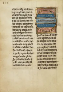 Bestiary Prints: A Map of the Southern Zones; De Natura Avium; De Pastoribus et Ovibus