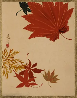 Maple Leaf Prints: Maple Leaves. Creator: Shibata Zeshin