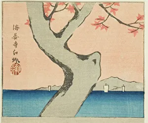 Section Of Harimaze Sheet Prints: Maple Leaves at Kaian Temple (Kaianji benikaede)