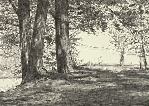 Maple Tree Prints: Three Maples, 1920. Creator: Bolton Coit Brown