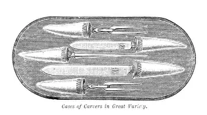 Mappin and Webb's Cases of Carvers of Great Variety, 1883. Creator: Unknown.<br> Mappin and Webb's Cases of Carvers of Great Variety, 1883. Creator: Unknown