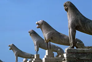 Aegean Islands Gallery: Marble lions at Delos in Greece, 7th century BC
