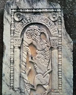 Aesops Fables Collection: Marble Roman slab of the Fox and Grapes