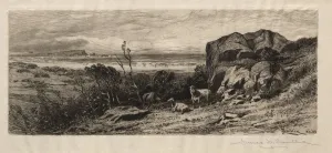 At Marblehead Neck, 1883. Creator: James David Smillie (American, 1833-1909)