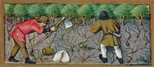 Book Of Hours Gallery: March - working in the vineyard, 15th century, (1939). Creator: Robinet Testard