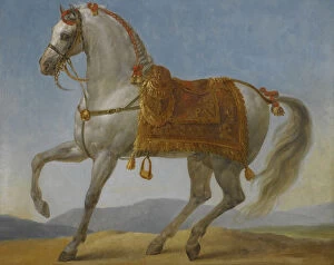 Antoine Jean Gallery: Marengo, the horse of Napoleon I of France