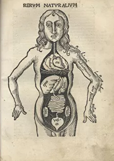 Natural Philosophy Gallery: Margarita Philosophica. Anatomy, 1504. Artist: Reisch, Gregor (1467-1525)