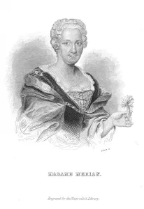 Naturalist Prints: Maria Sibylla Merian, German naturalist and flower painter. Artist: William Home Lizars