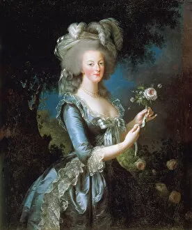 Images Dated 14th January 2011: Marie Antoinette a la Rose, 1783