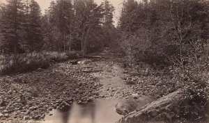 Marion River at Bassett's Camp, c. 1885. Creator: Seneca Ray Stoddard Marion River at Bassett's Camp, c. 1885. Creator: Seneca Ray Stoddard