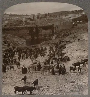 Market day at the Pool of Gihon, c1900